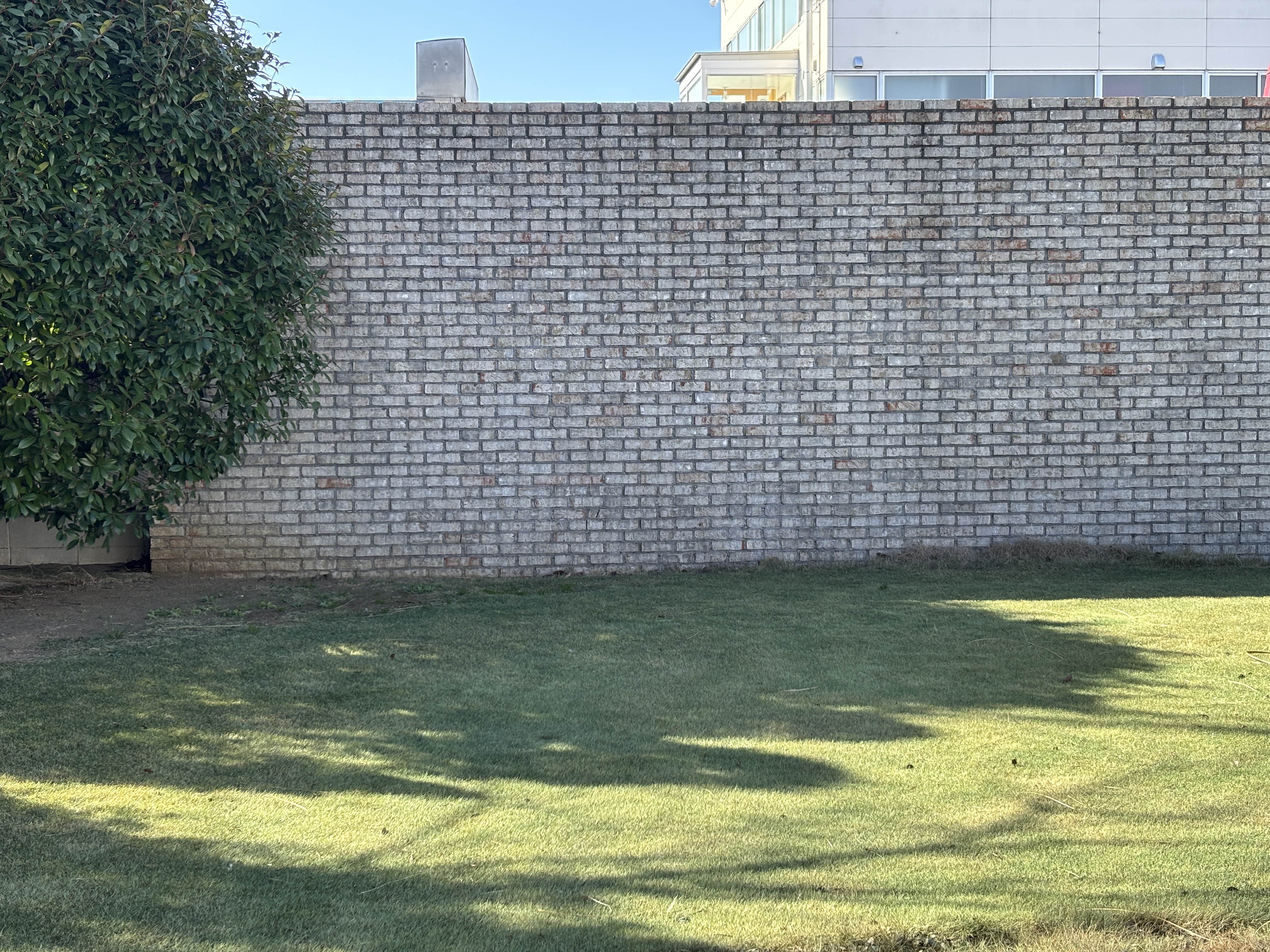 スタジオフィールドレンガ壁、冬の芝生の状態